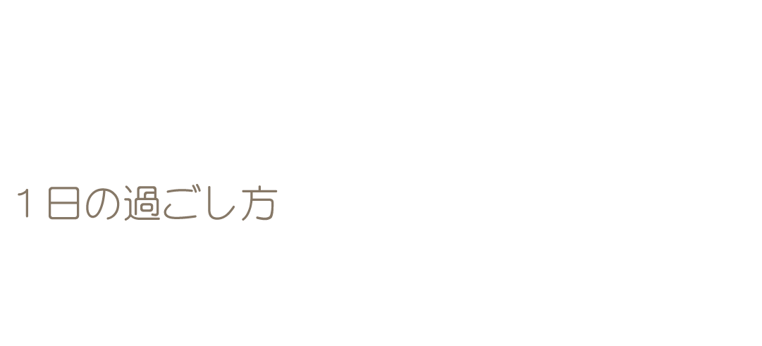 一日の過ごし方